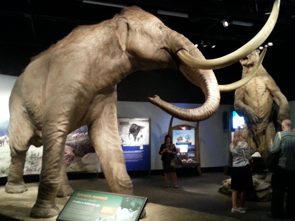 Mammoths life size replicas June 2016