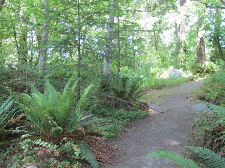 ROBP Forest Path